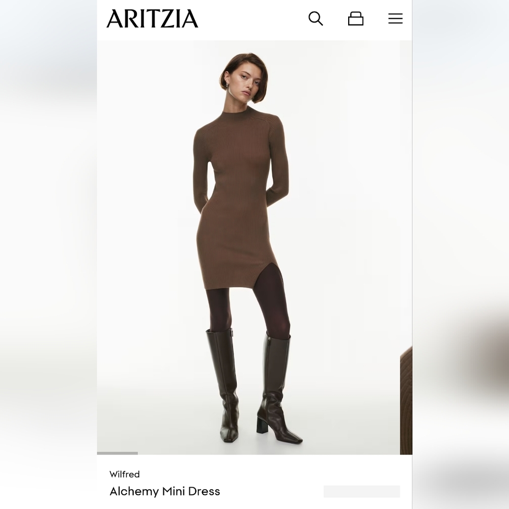 Wilfred Chocolate Long Sleeve Dress